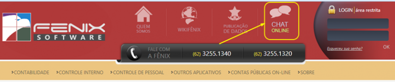 Arquivo:Chat fenix 1.png