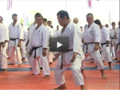 Curso iaguchi 2011.png