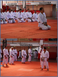 Yutaka Yaguchi 2011 curso.png